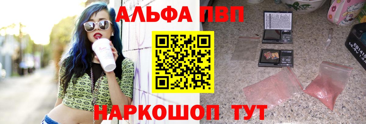 Alfa_PVP СК КРИС Минеральные Воды